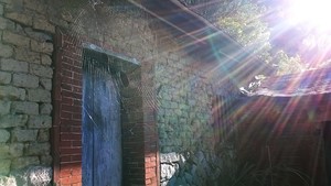 藍色大門蜘蛛網