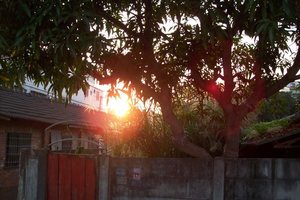 一個時代的迴光