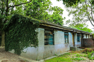 相依：2017/05/09，霧峰光復新村