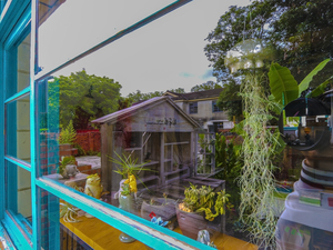 屋中情：2017/05/09，霧峰光復新村