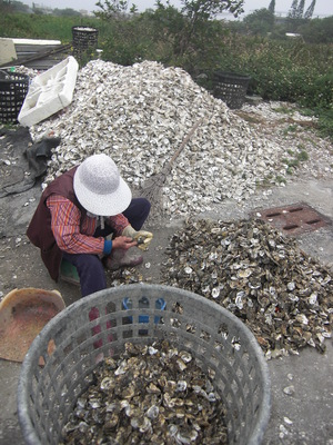 用影像說家鄉故事