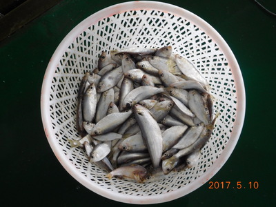 用影像說家鄉故事