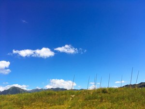 潮境公園-大掃把+藍天+草地