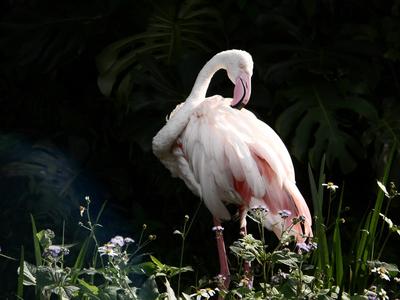 2012「木柵動物園」