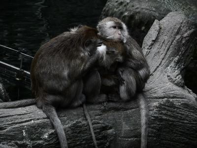 2012「木柵動物園」