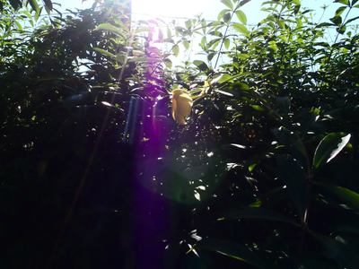 2012「木柵動物園」