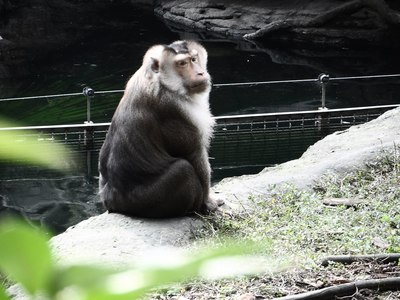 2012「木柵動物園」