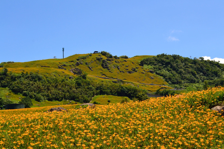 花蓮六十石山