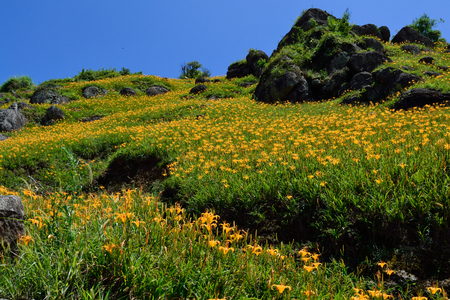 花蓮六十石山