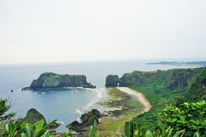 哈巴狗與睡美人