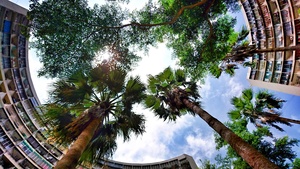 記憶中的天際線