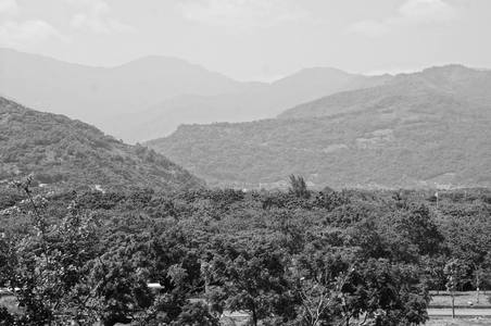 2013－2016「台東、知本」