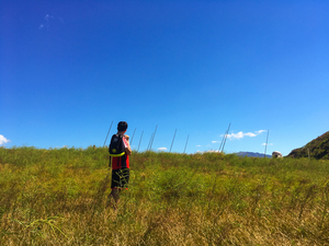 潮境公園-飄向北方