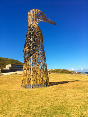 潮境公園-天然鳥?