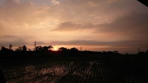 <輝煌>圖、文/彭彭CC│BY-NC-SA