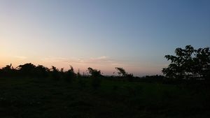 <隱居>圖、文/彭彭CC│BY-NC-SA