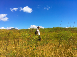 潮境公園-飄向北方