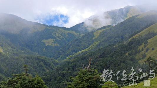 山林漫遊