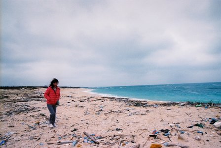 海島家鄉