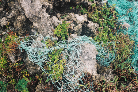 akma ka i alipasalaw.