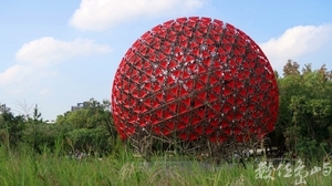 地表最大的機械花