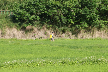 農村與我