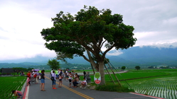 農村觀光，觀光農村