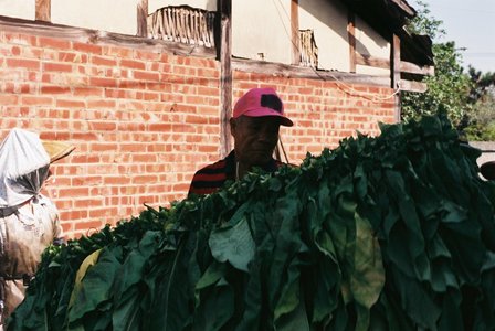 與島嶼說了再見