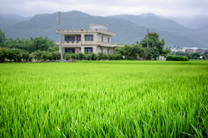 農村景