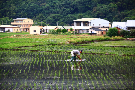 農村與我