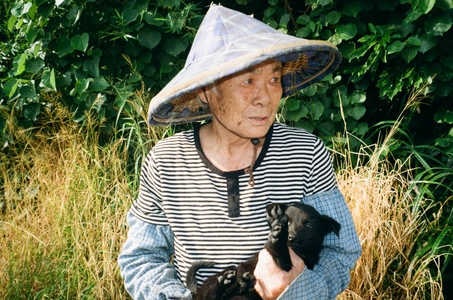 農村