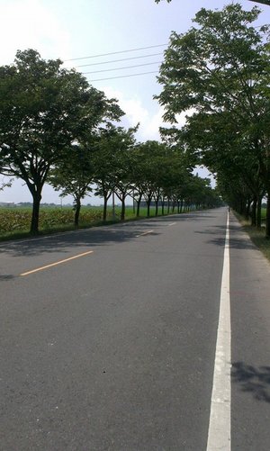稻田自行車道