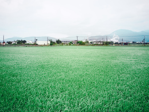 藍天綠地的農村