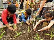 土地，教會孩子用愛感受生命