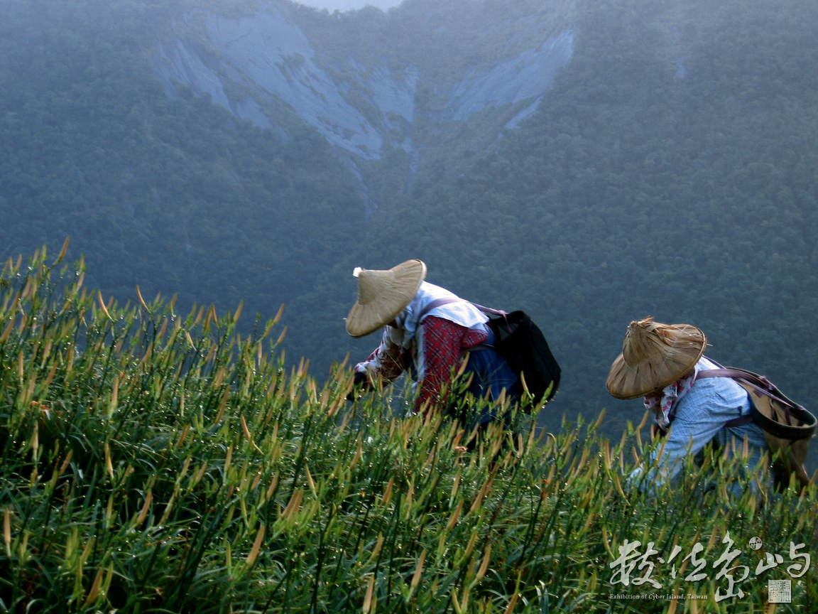 赤科金針（赤科山）