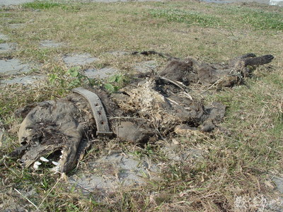 廢棄.環境.永續