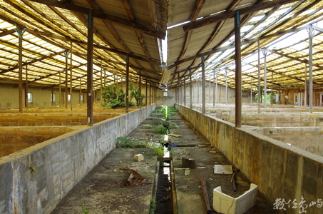 廢棄.環境.永續