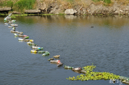 廢棄.環境.永續