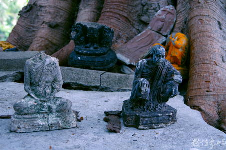 廢棄.環境.永續