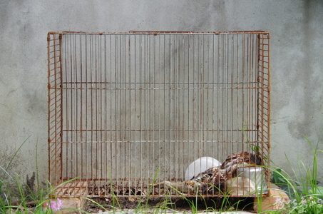 廢棄.環境.永續