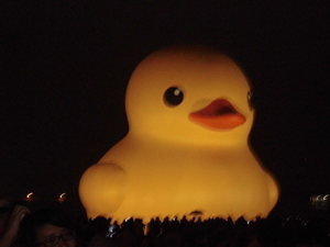 用鏡頭看世界-黃色小鴨鴨