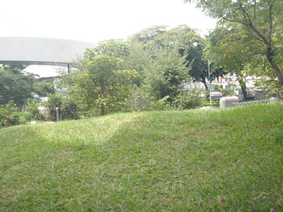 校園一角