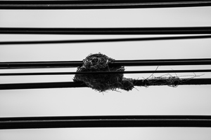 最危險的地方曾是我的家