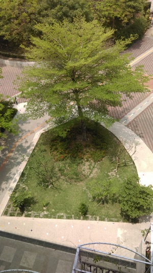 CHARME的仁美故事書