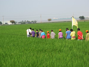 有機米專區體驗