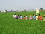 有機米專區體驗