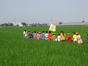 有機米專區體驗