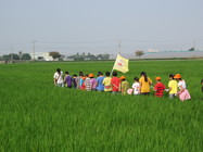 有機米專區體驗