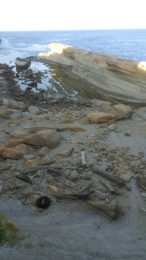 廢棄.環境.永續