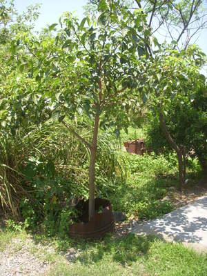 廢棄.環境.永續